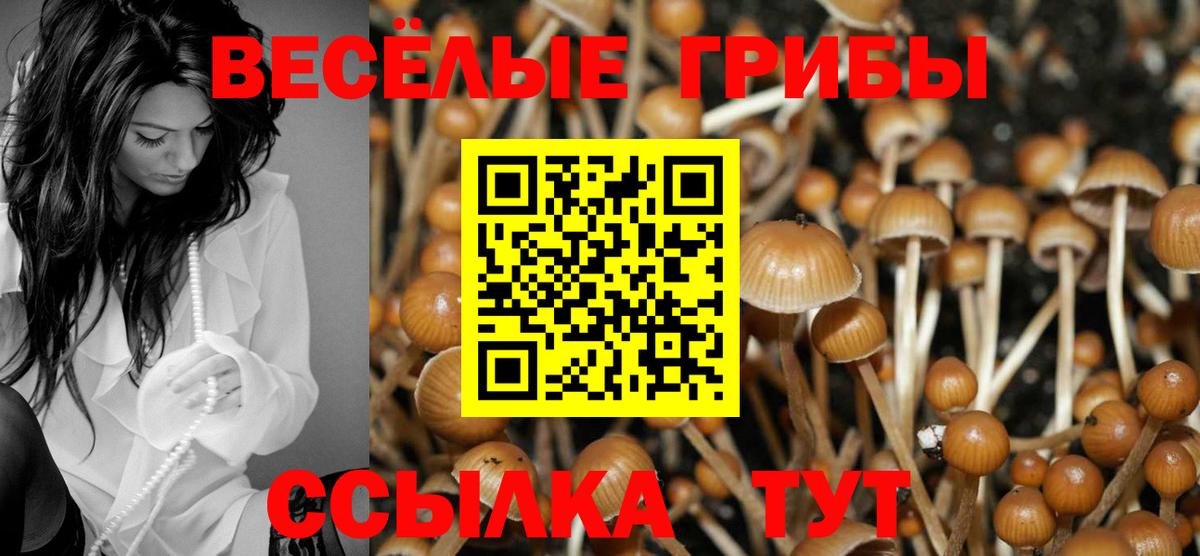 Псилоцибиновые грибы прущие грибы  Вход с VPN  Дубна 