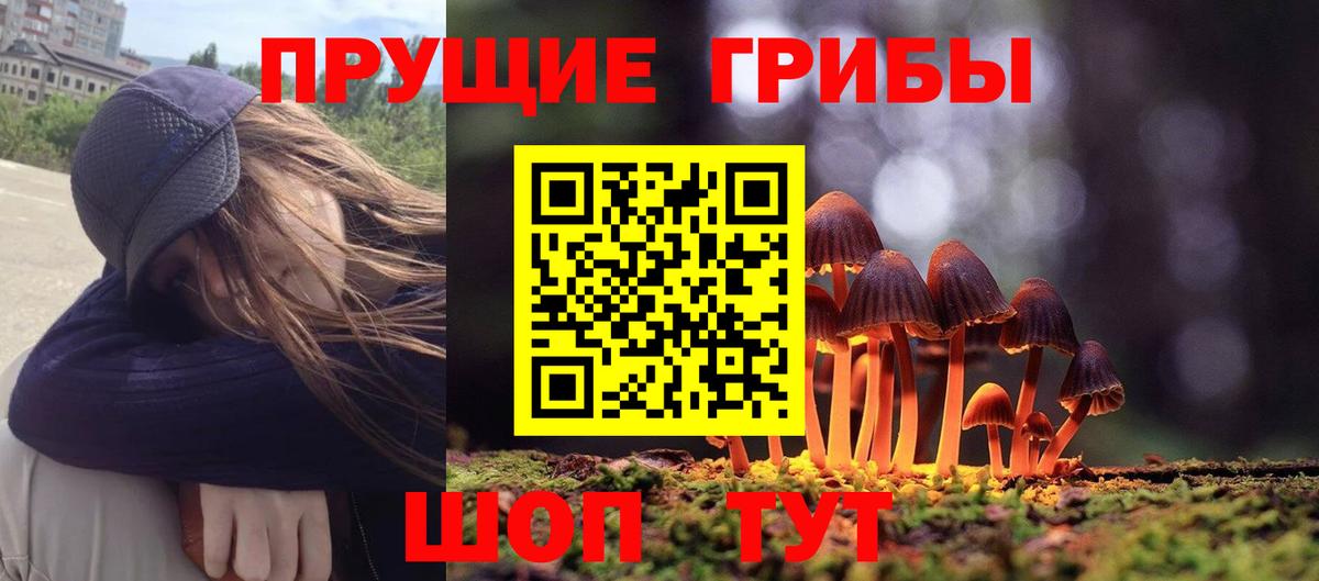 Дубна  ТГК  A-PVP СК   Вход с VPN  Марихуана  Гашиш  Меф МЯУ МЯУ кристаллы 