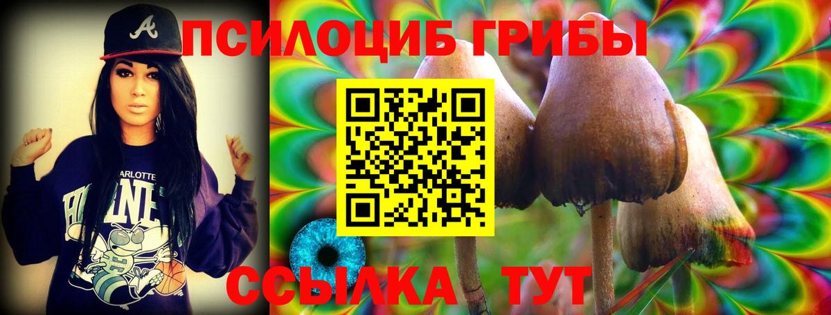 Галлюциногенные грибы GOLDEN TEACHER Дубна